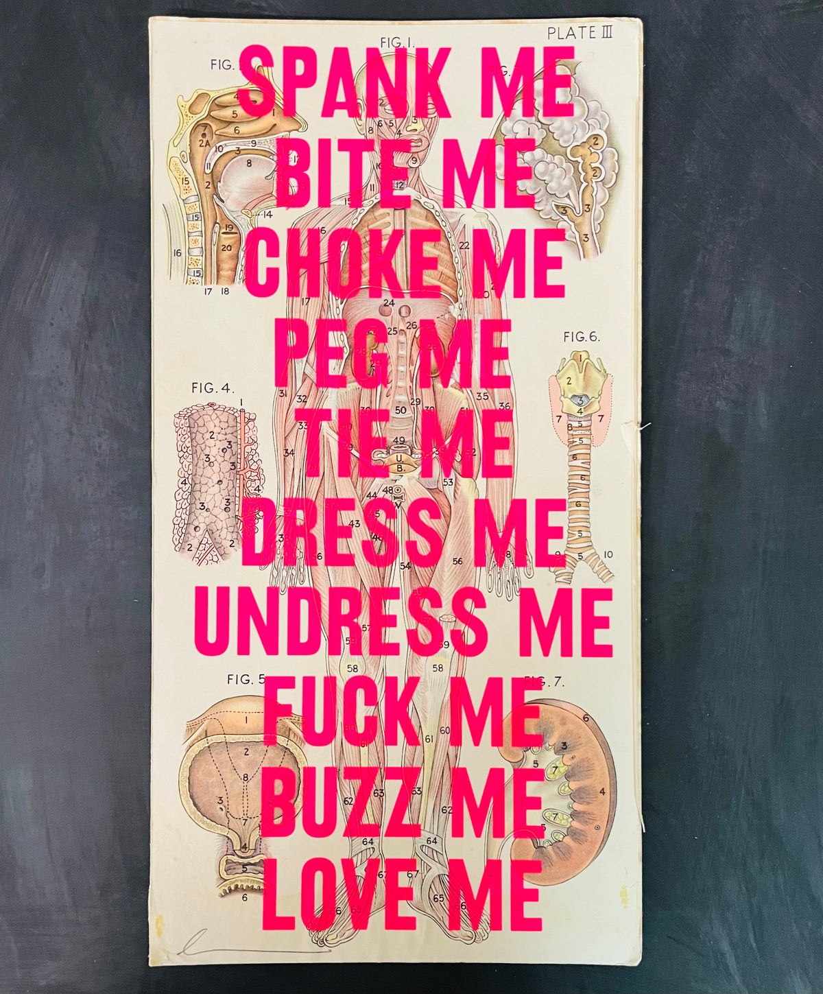 Spank Me Bite Me
