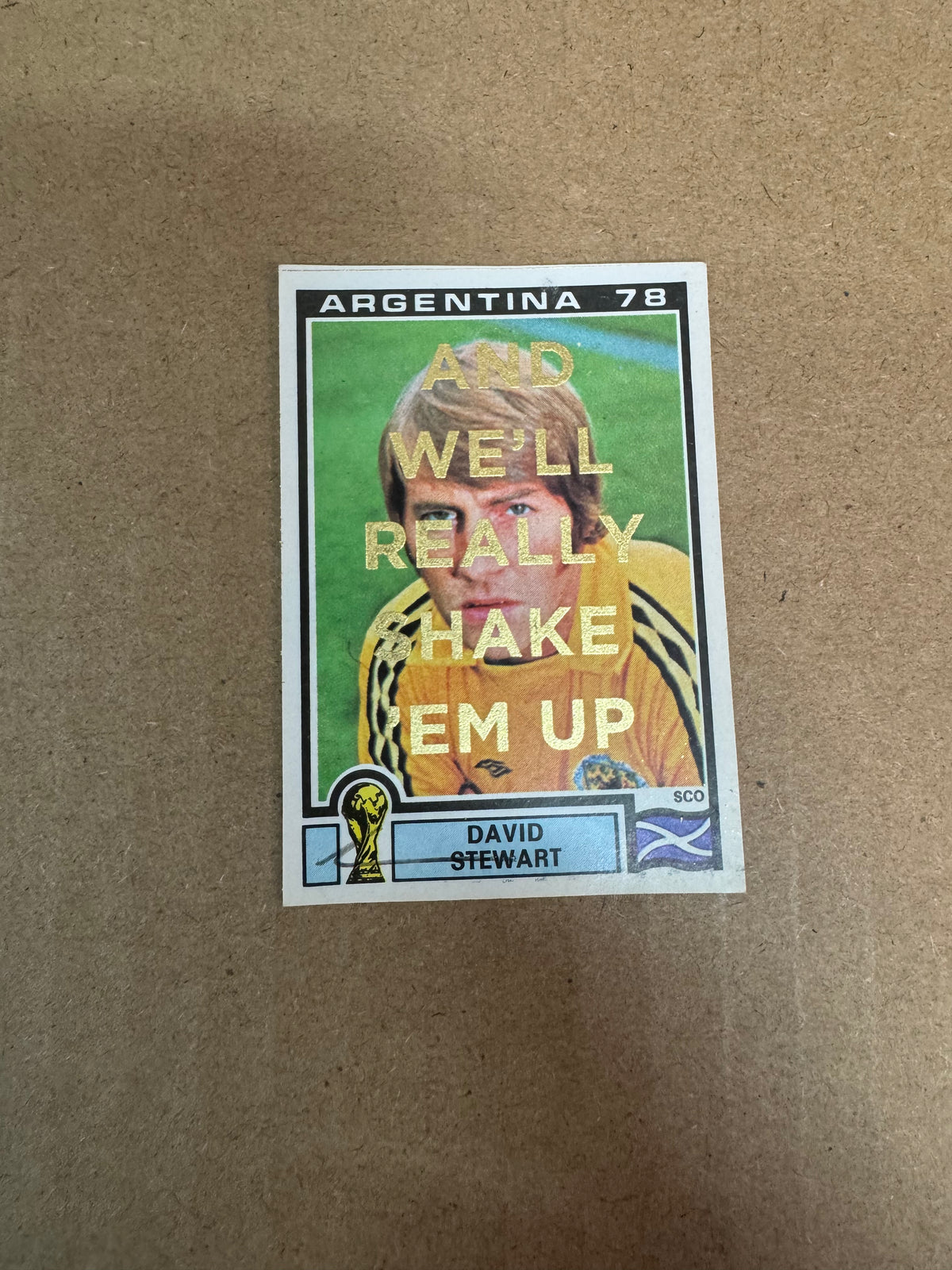 AND WE'LL REALLY SHAKE 'EM UP