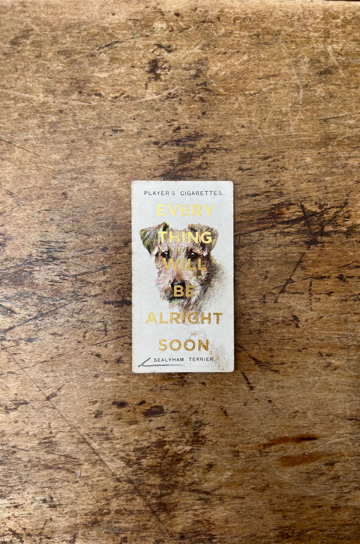 Everything Will Be Alright Soon (Dog - Portrait)