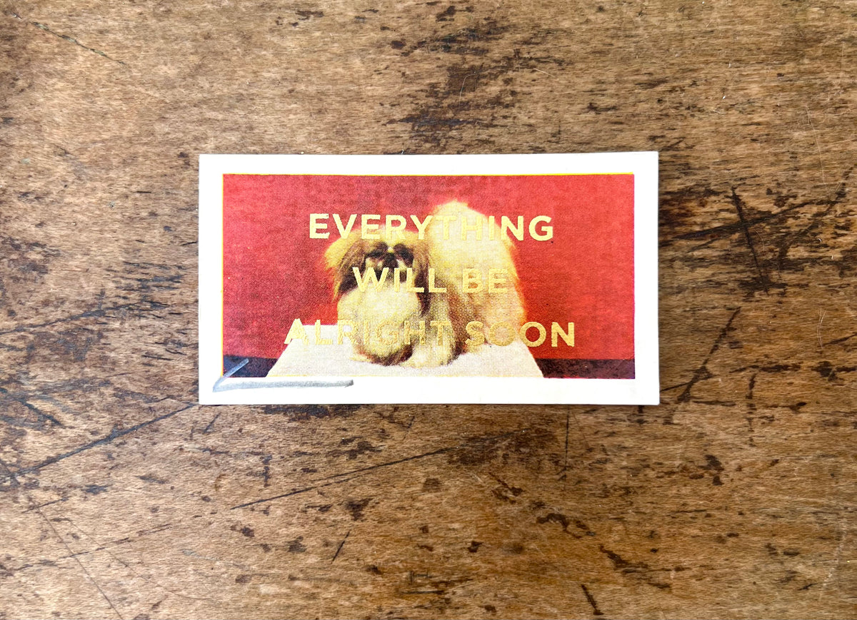 Everything Will Be Alright Soon (Dog - Landscape)