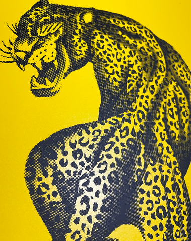 Ingwe (leopard)