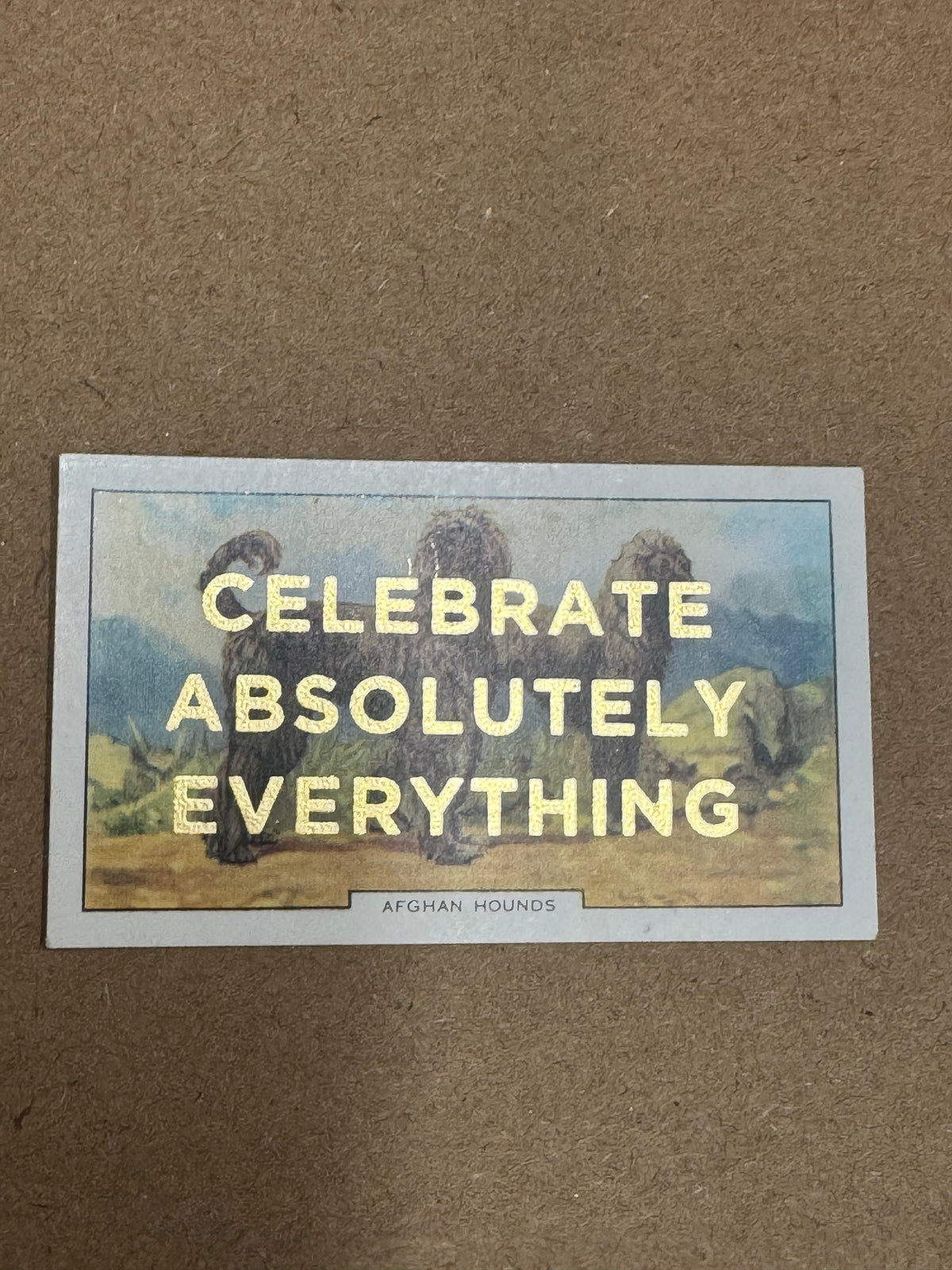 CELEBRATE ABSOLUTELY EVERYTHING