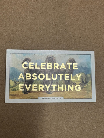 CELEBRATE ABSOLUTELY EVERYTHING