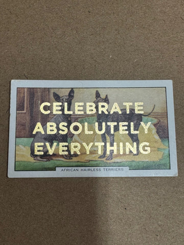 CELEBRATE ABSOLUTELY EVERYTHING