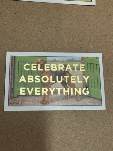 CELEBRATE ABSOLUTELY EVERYTHING