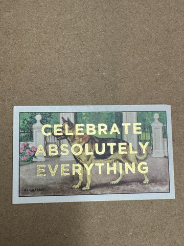 CELEBRATE ABSOLUTELY EVERYTHING