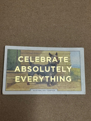 CELEBRATE ABSOLUTELY EVERYTHING