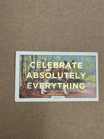CELEBRATE ABSOLUTELY EVERYTHING