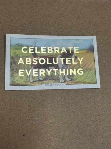 CELEBRATE ABSOLUTELY EVERYTHING