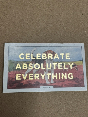 CELEBRATE ABSOLUTELY EVERYTHING