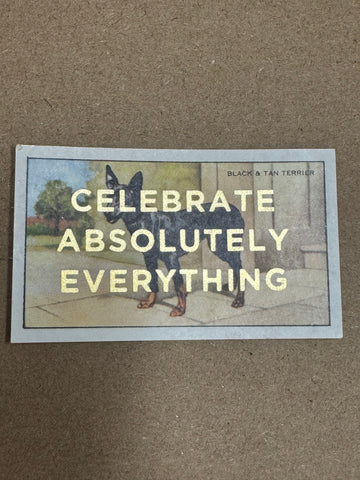 CELEBRATE ABSOLUTELY EVERYTHING