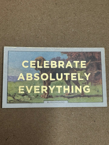 CELEBRATE ABSOLUTELY EVERYTHING