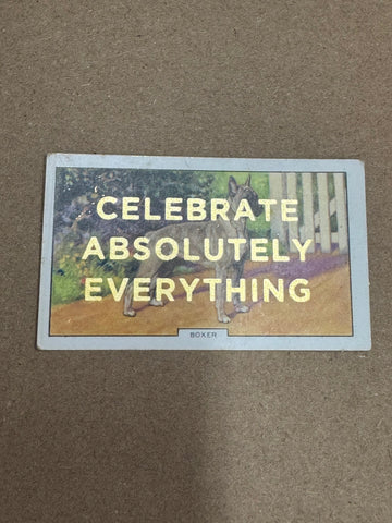 CELEBRATE ABSOLUTELY EVERYTHING