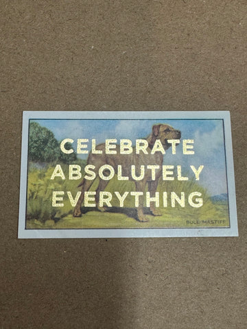 CELEBRATE ABSOLUTELY EVERYTHING