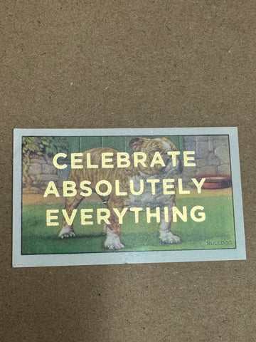 CELEBRATE ABSOLUTELY EVERYTHING
