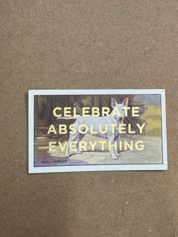 CELEBRATE ABSOLUTELY EVERYTHING