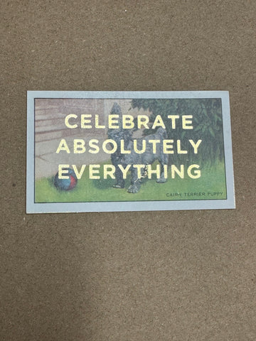 CELEBRATE ABSOLUTELY EVERYTHING