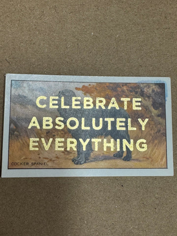 CELEBRATE ABSOLUTELY EVERYTHING