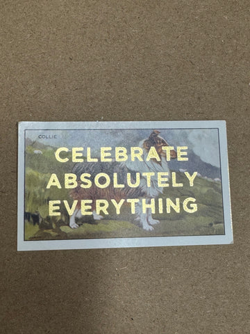 CELEBRATE ABSOLUTELY EVERYTHING