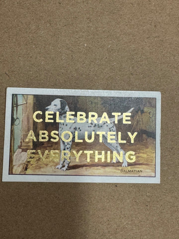 CELEBRATE ABSOLUTELY EVERYTHING