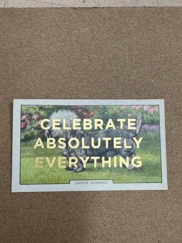 CELEBRATE ABSOLUTELY EVERYTHING
