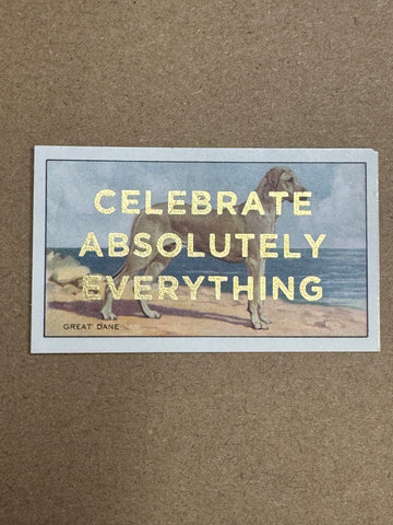CELEBRATE ABSOLUTELY EVERYTHING