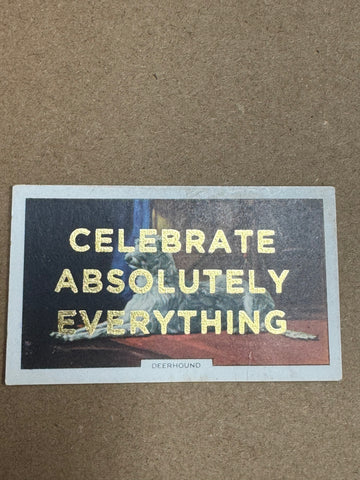 CELEBRATE ABSOLUTELY EVERYTHING