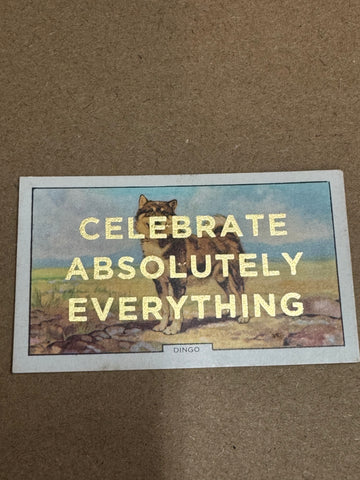 CELEBRATE ABSOLUTELY EVERYTHING