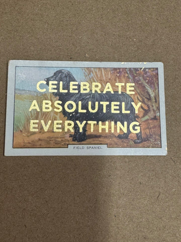CELEBRATE ABSOLUTELY EVERYTHING