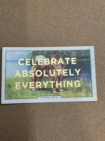 CELEBRATE ABSOLUTELY EVERYTHING