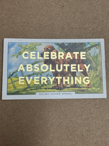 CELEBRATE ABSOLUTELY EVERYTHING