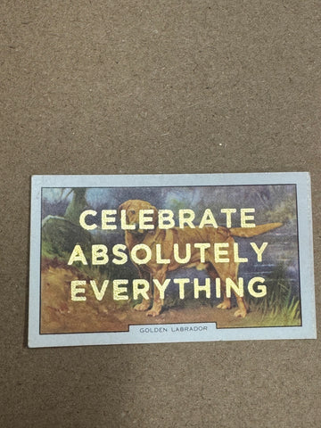 CELEBRATE ABSOLUTELY EVERYTHING