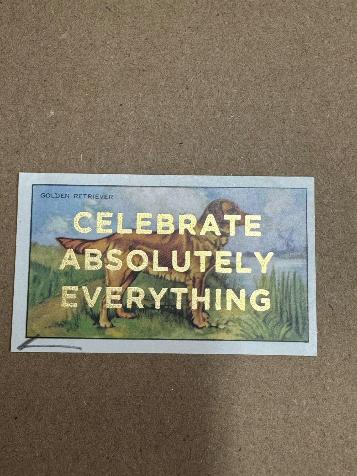 CELEBRATE ABSOLUTELY EVERYTHING