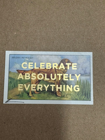 CELEBRATE ABSOLUTELY EVERYTHING