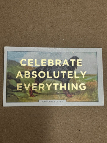 CELEBRATE ABSOLUTELY EVERYTHING