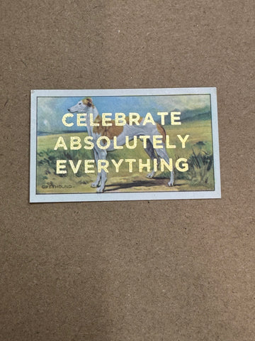 CELEBRATE ABSOLUTELY EVERYTHING
