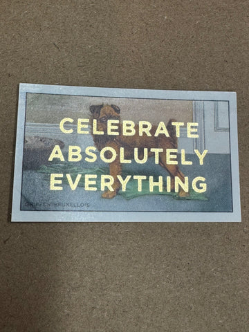 CELEBRATE ABSOLUTELY EVERYTHING