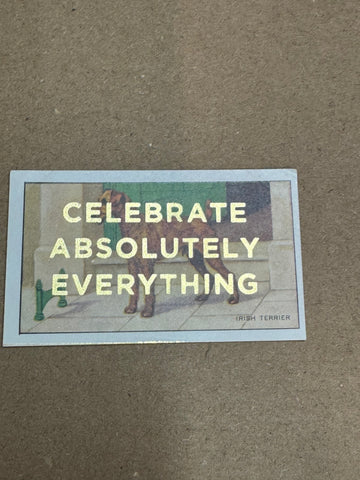 CELEBRATE ABSOLUTELY EVERYTHING