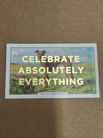 CELEBRATE ABSOLUTELY EVERYTHING