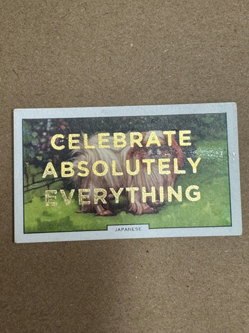 CELEBRATE ABSOLUTELY EVERYTHING