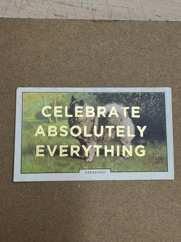 CELEBRATE ABSOLUTELY EVERYTHING