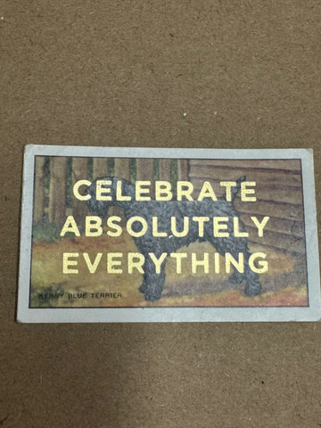 CELEBRATE ABSOLUTELY EVERYTHING