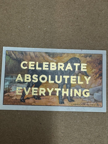 CELEBRATE ABSOLUTELY EVERYTHING
