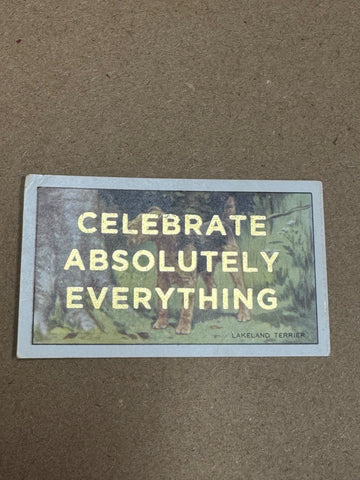 CELEBRATE ABSOLUTELY EVERYTHING