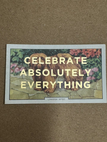 CELEBRATE ABSOLUTELY EVERYTHING