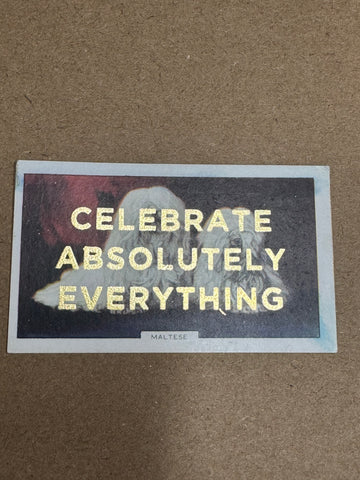 CELEBRATE ABSOLUTELY EVERYTHING