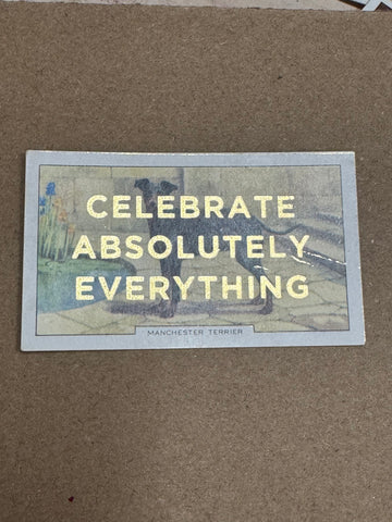 CELEBRATE ABSOLUTELY EVERYTHING