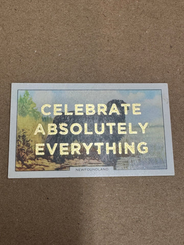 CELEBRATE ABSOLUTELY EVERYTHING