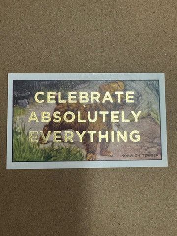 CELEBRATE ABSOLUTELY EVERYTHING