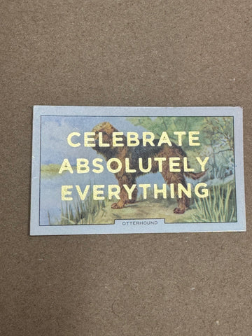 CELEBRATE ABSOLUTELY EVERYTHING